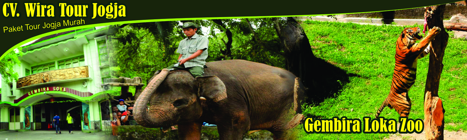 tour jogja murah