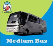 medium bus