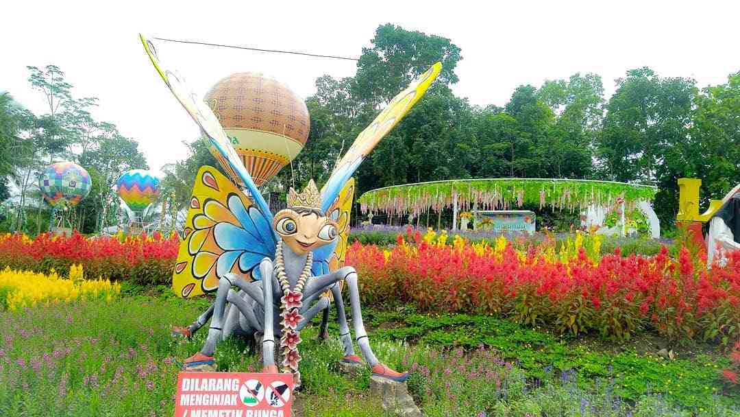 Alamanda Flower Garden Jogja